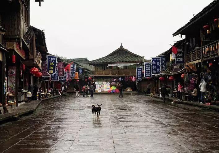 《青春有你2》鞠婧祎突然出现,仅1秒钟的镜头,令全网男粉沸腾