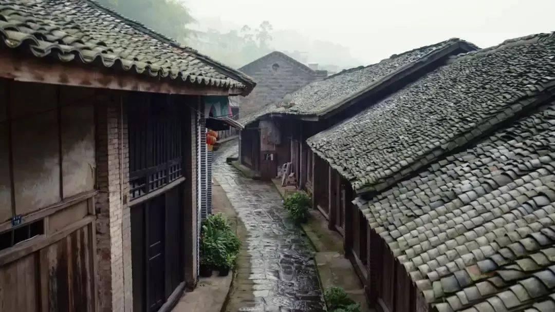 急速变色龙